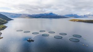 Drone View of Salmon Farming Facility in a Norwegian Fjord