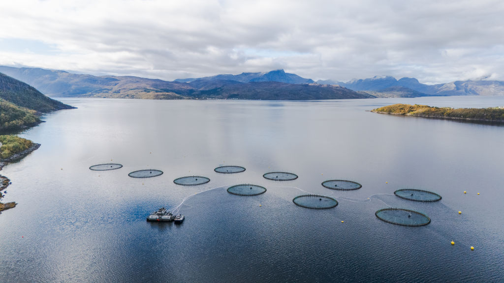 Drone View of Salmon Farming Facility in a Norwegian Fjord